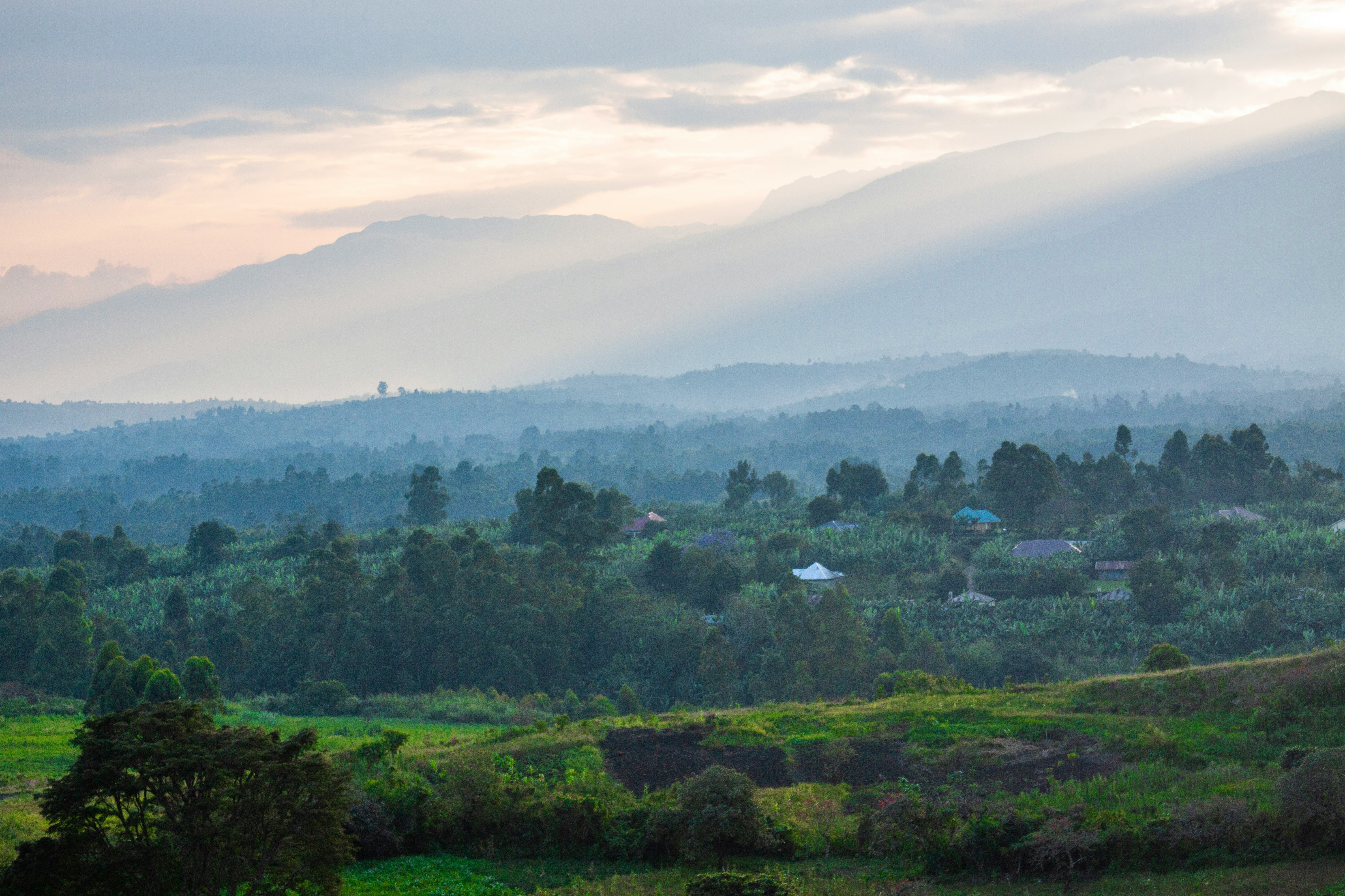 Rwenzori Mountains foothills