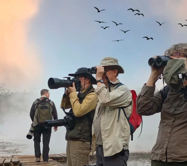 Bird watching travelers with binoculars